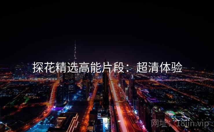 探花精选高能片段：超清体验