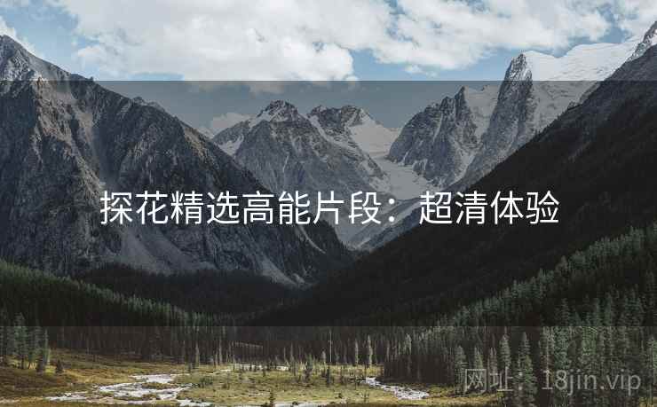 探花精选高能片段：超清体验