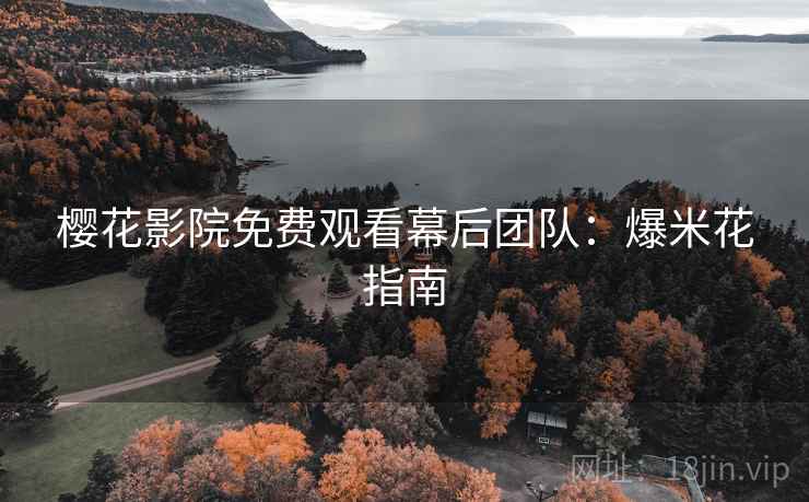 樱花影院免费观看幕后团队：爆米花指南