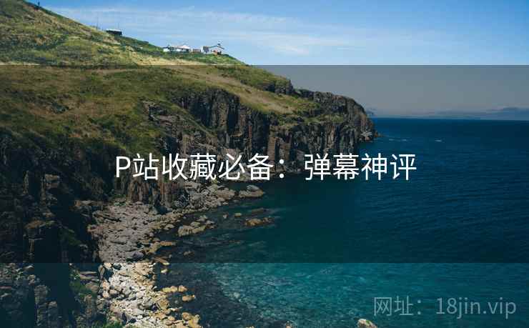 P站收藏必备：弹幕神评