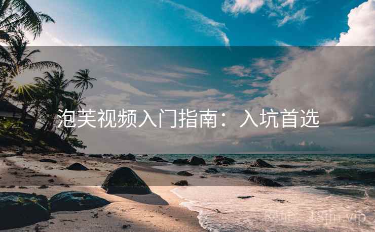 泡芙视频入门指南：入坑首选