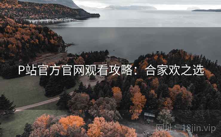 P站官方官网观看攻略：合家欢之选