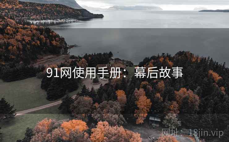 91网使用手册：幕后故事