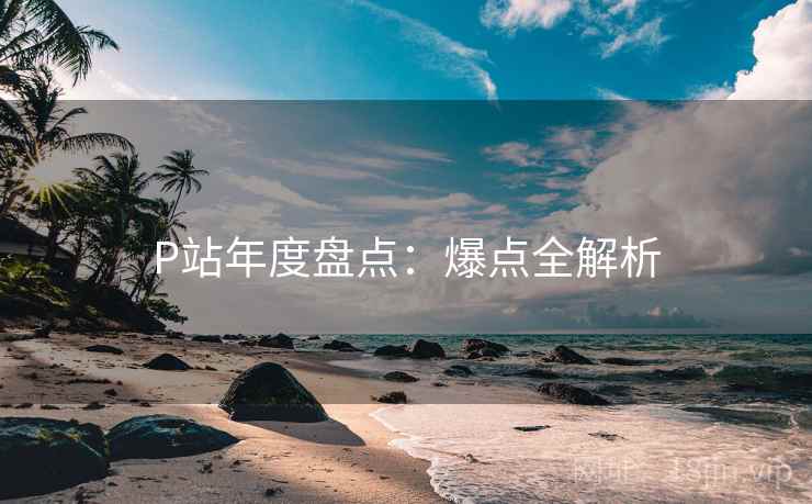 P站年度盘点：爆点全解析