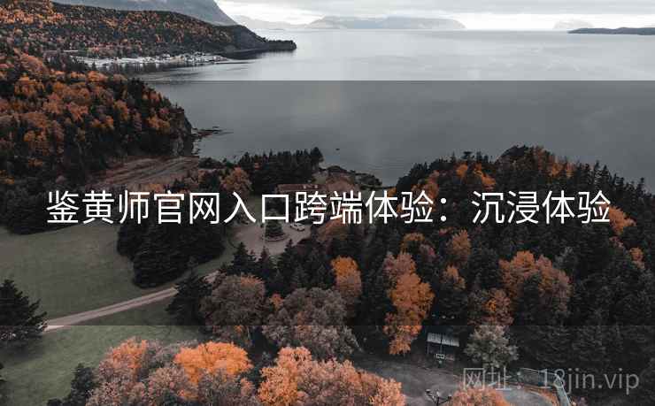 鉴黄师官网入口跨端体验：沉浸体验